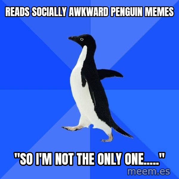 Socially Awkward Penguin meme: reads socially awkward penguin memes / "so I'm not the only one....."