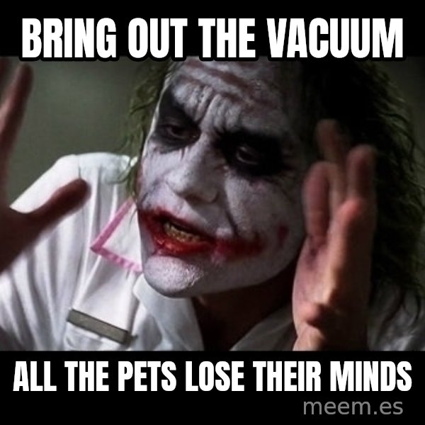 joker mind loss meme: Bring out the vacuum / all the pets lose their minds