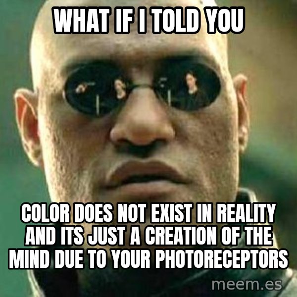 What if I told you / Matrix Morpheus meme: What if I told you / Color does nOt exist in Reality and its just A creation of the mind due to your photoreceptors