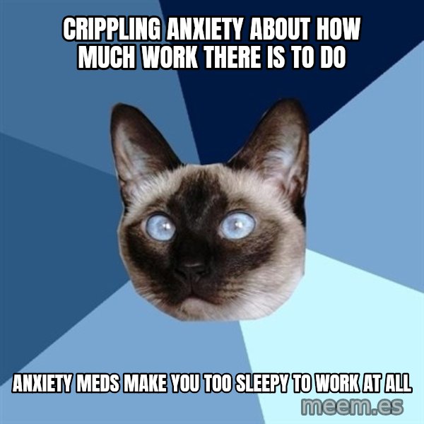 Chronic Illness Cat meme: crippling anxiety about how much work there is to do / anxiety meds make you too sleepy to work at all