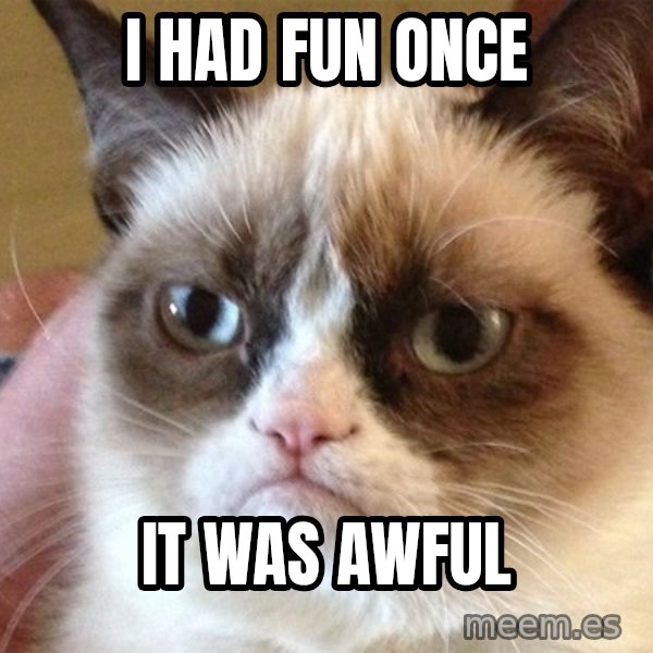 Angry Cat Meme meme: I HAD FUN ONCE / IT WAS AWFUL