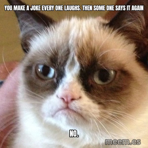 Angry Cat Meme meme: YOU MAKE A JOKE EVERY ONE LAUGHS. THEN SOME ONE SAYS IT AGAIN / NO.