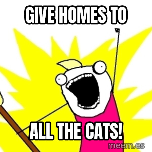 X ALL THE THINGS meme: Give homes to / all the cats!