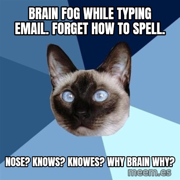 Chronic Illness Cat meme: Brain Fog while typing Email. Forget how to spell. / Nose? KNows? Knowes? Why brain why?