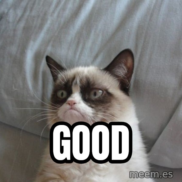 Grumpy cat good meme: GOOD