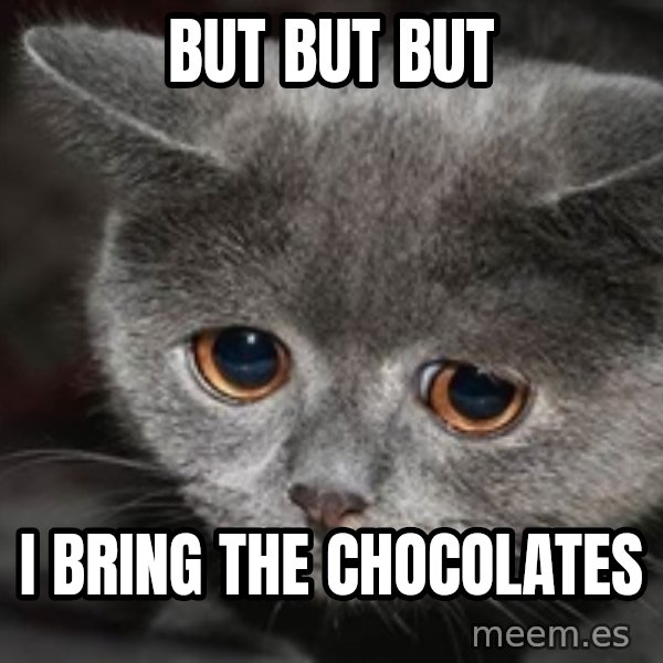 Sadcat meme: but but but / i bring the chocolates