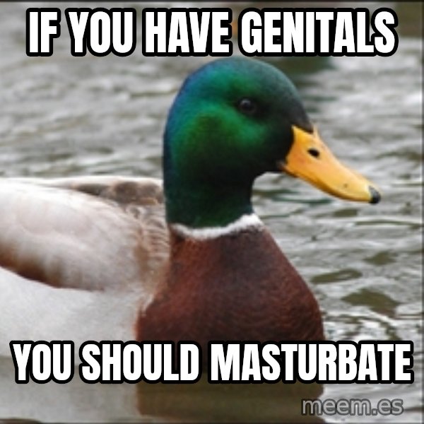 Actual Advice Mallard 1 meme: If you have genitals / You should masturbate