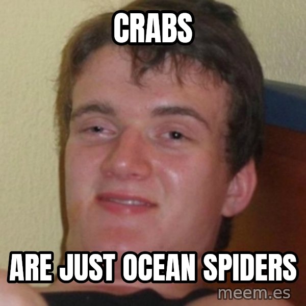 Stoner Guy meme: Crabs / Are just ocean spiders