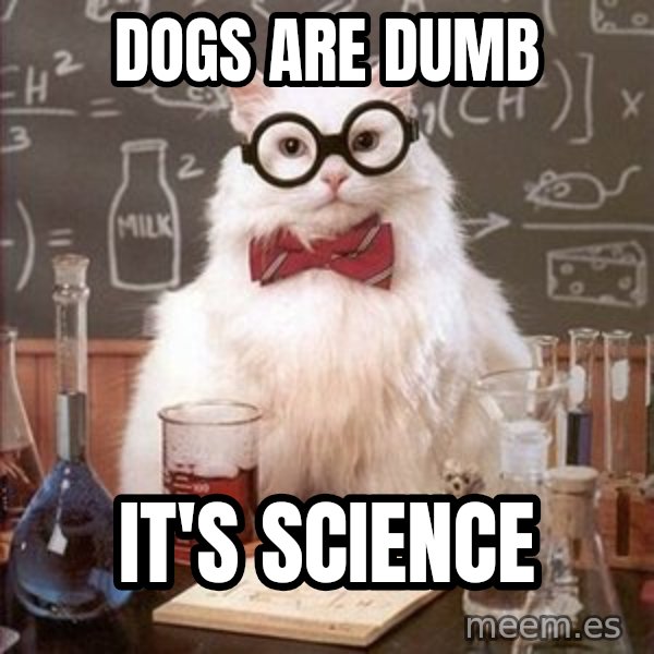 Chemistry Cat meme: Dogs are dumb / It's science