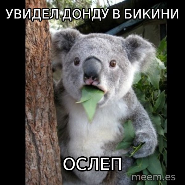 Koala can't believe it meme: увидел донду в бикини / ослеп