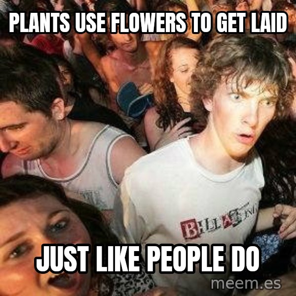 -Sudden Clarity Clarence meme: plants use flowers to get laid / just like people do