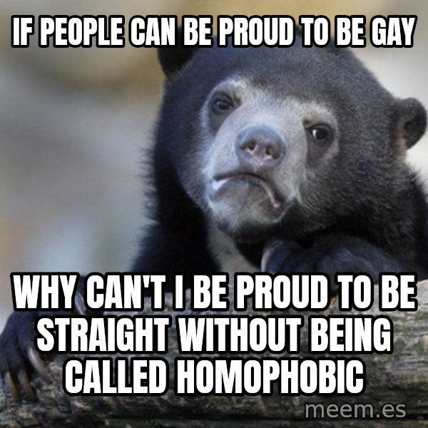 Confession Bear meme: If people can be proud to be gay / why can't i be proud to be straight without being called homophobic