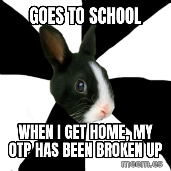 Roleplaying Rabbit meme: Goes to school / When i get home, my otp has been broken up