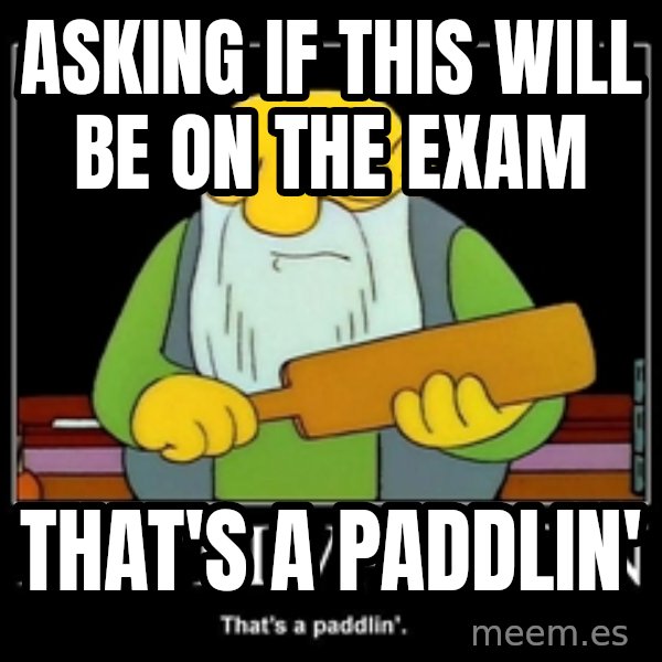 Thats a paddlin meme: Asking if this will be on the exam / that's a paddlin'