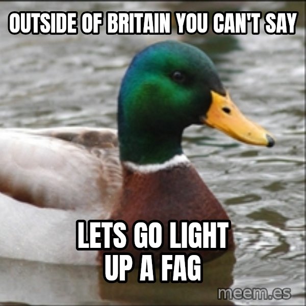 Actual Advice Mallard 1 meme: Outside of Britain you can't say / lets go light up a fag