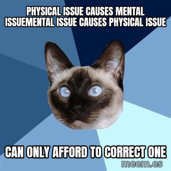 Chronic Illness Cat meme: Physical issue causes mental issuemental issue causes physical issue / Can only afford to correct one