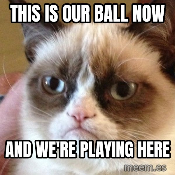 Angry Cat Meme meme: THIS IS OUR BALL NOW / AND WE'RE PLAYING HERE
