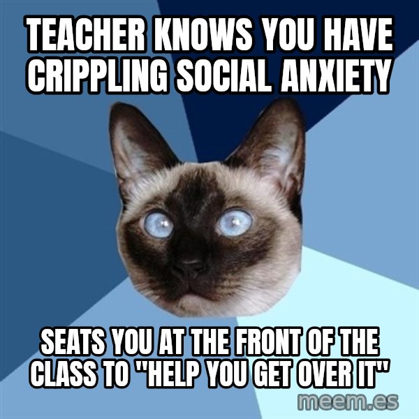Chronic Illness Cat meme: TEACHER KNOWS YOU HAVE CRIPPLING SOCIAL ANXIETY / SEATS YOU AT THE FRONT OF THE CLASS TO "HELP YOU GET OVER IT"