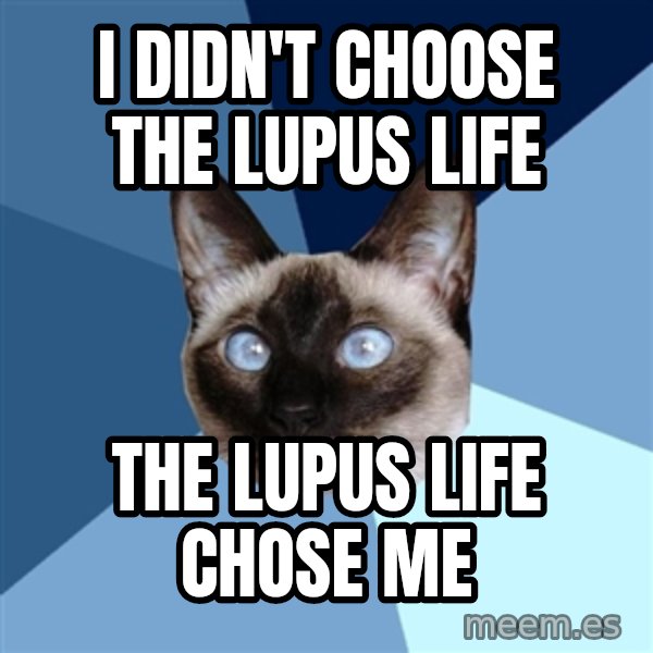 Chronic Illness Cat meme: I didn't choose the lupus life / the lupus life chose me