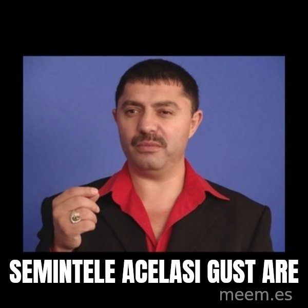 Manelistul Nicolae Guta meme: semintele acelasi gust are
