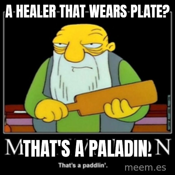 Thats a paddlin meme: A healer that wears plate? / That's a Paladin.