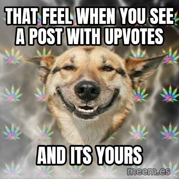 Stoner Dog meme: that feel when you see a post with upvotes / and its yours