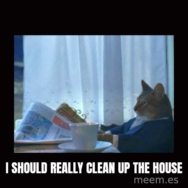 i should buy a boat cat meme: I should really clean up the house