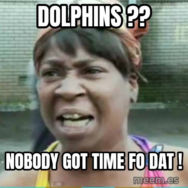 Sweet Brown Meme meme: Dolphins ?? / Nobody got time FO dat !