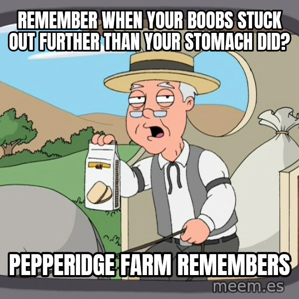 Pepperidge Farm Remembers Meme meme: Remember when your boobs stuck out further than your stomach did? / Pepperidge Farm Remembers