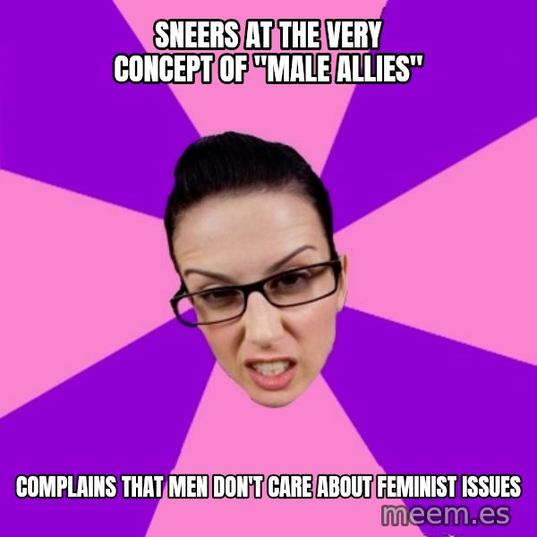 Privilege Denying Feminist meme: sneers at the very concept of "male allies" / complains that men don't care about feminist issues