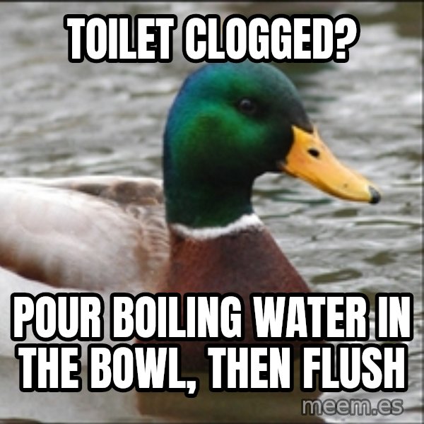 Actual Advice Mallard 1 meme: TOILET CLOGGED? / POUR BOILING WATER IN THE BOWL, THEN FLUSH
