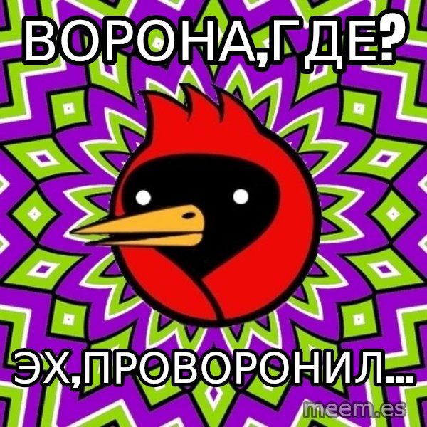 Omsk Crow meme: Ворона,где? / Эх,проворонил...