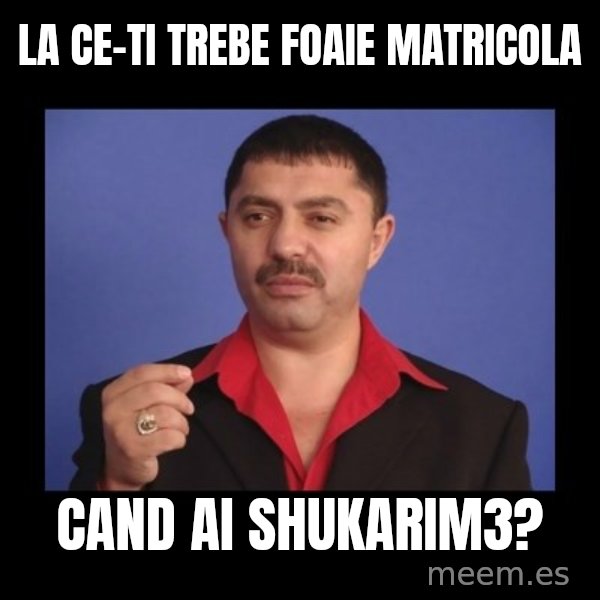 Manelistul Nicolae Guta meme: La ce-ti trebe foaie matricola / cand ai shukarim3?