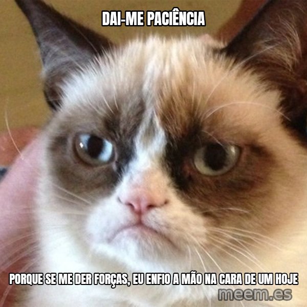 Angry Cat Meme meme: Dai-me paciência / porque se me der forças, eu enfio a mão na cara de um hoje