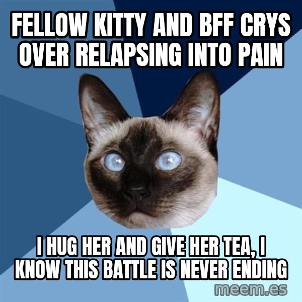 Chronic Illness Cat meme: fellow kitty and bff crys over relapsing into pain / i hug her and give her tea, i know this battle is never ending