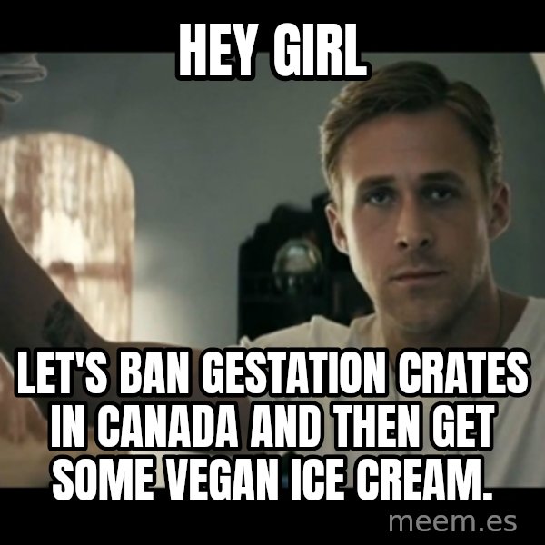 ryan gosling hey girl meme: hey girl / Let's ban gestation crates in canada and then get some vegan ice cream.