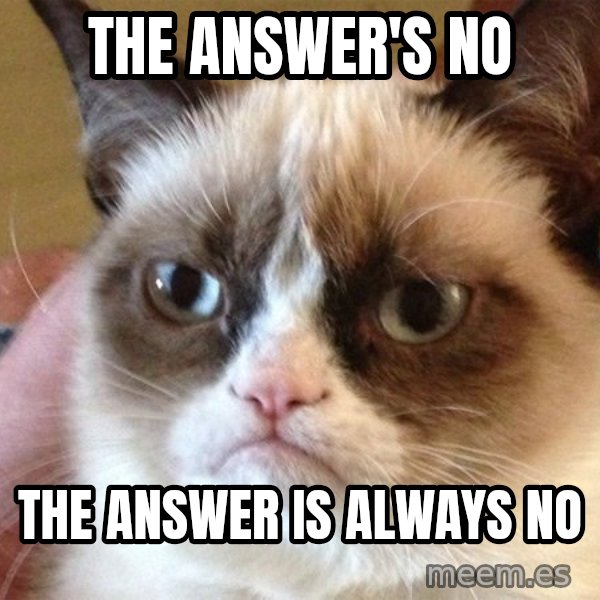 Angry Cat Meme meme: the answer's no / the answer is always no