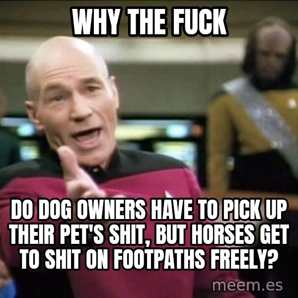 Why the fuck meme: Why the fuck / Do dog owners have to pick up their pet's shit, but horses get to shit on footpaths freely?