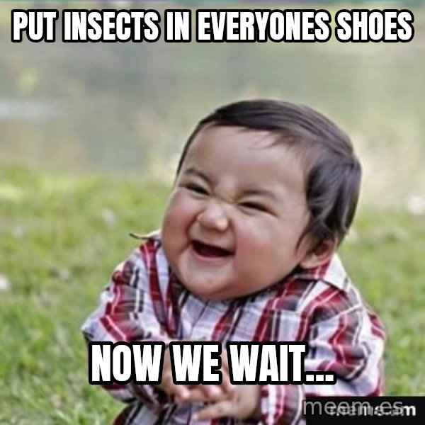 evil plan kid meme: Put insects in everyones shoes / Now we wait...
