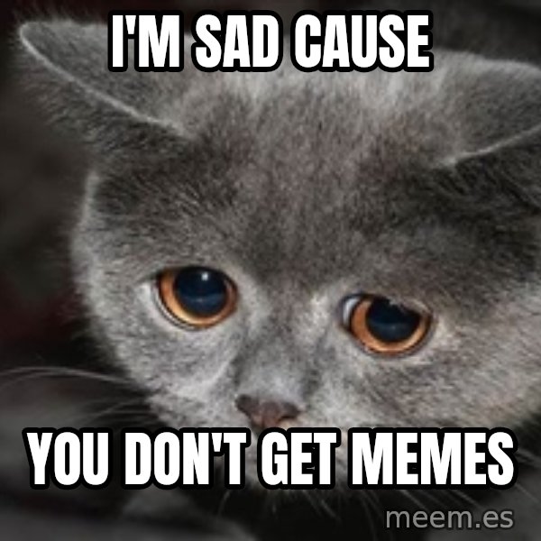 Sadcat meme: I'm sad cause / You don't get memes