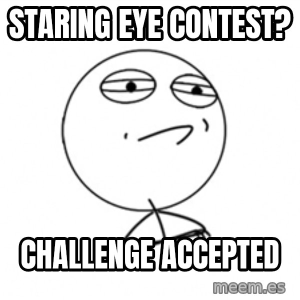 Challenge Accepted meme: staring eye contest? / Challenge accepted
