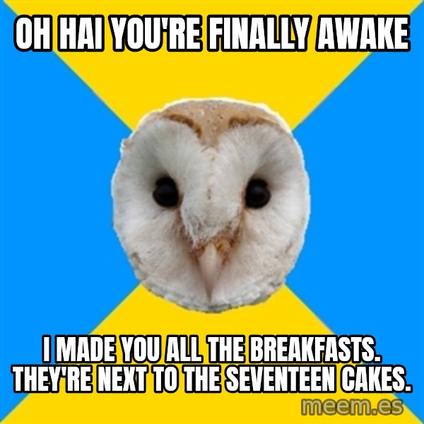 Bipolar Owl meme: oh hai you're finally awake / i made you all the breakfasts. they're next to the seventeen cakes.