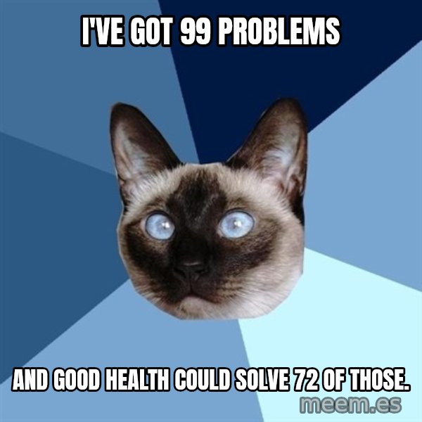 Chronic Illness Cat meme: I've got 99 problems / and good health could solve 72 of those.