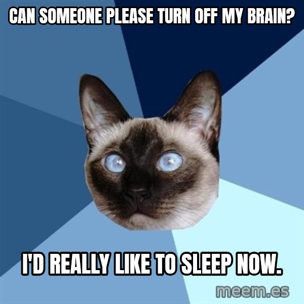 Chronic Illness Cat meme: can someone please turn off my brain? / i'd really like to   sleep now.
