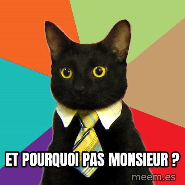 Business Cat meme: Et pourquoi pas Monsieur ?