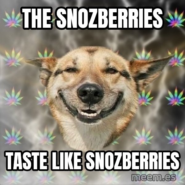 Stoner Dog meme: The snozberries / taste like snozberries