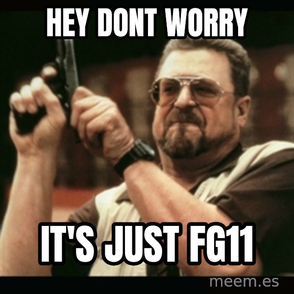 am i the only one around here meme: Hey Dont Worry / It's just FG11