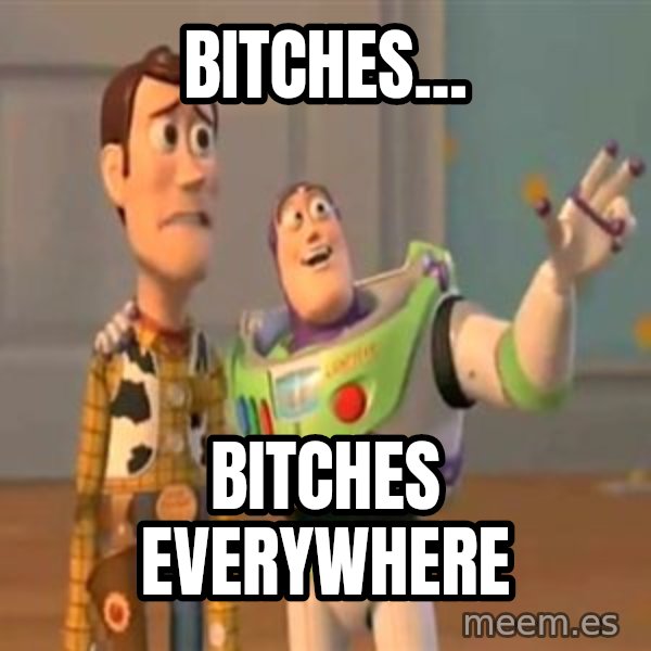 X, X Everywhere  meme: Bitches... / Bitches everywhere