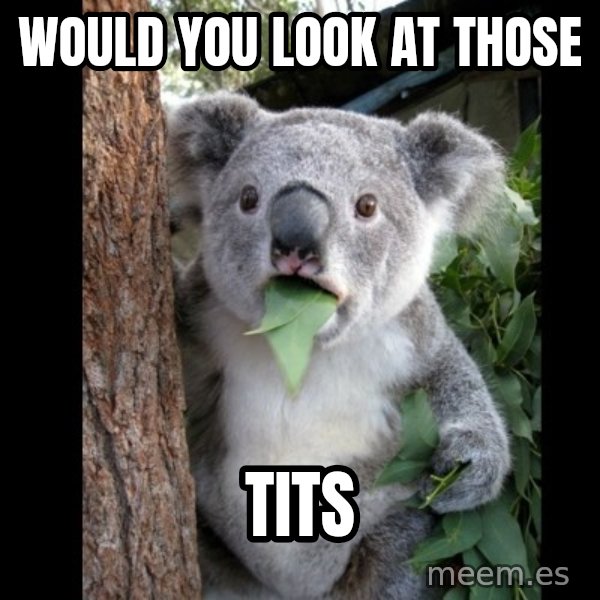 Koala can't believe it meme: would you look at those / tits