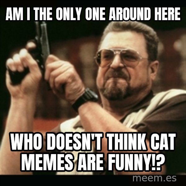 am i the only one around here meme: AM I THE ONLY ONE AROUND HERE / WHO DOESN'T THINK CAT MEMES ARE FUNNY!?